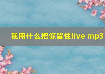 我用什么把你留住live mp3